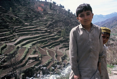 Image Image